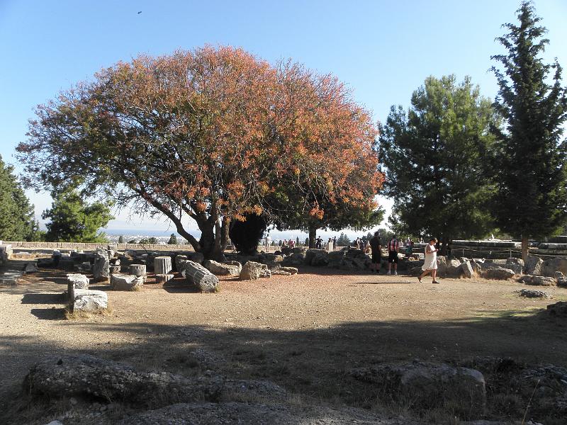 PA240061.JPG