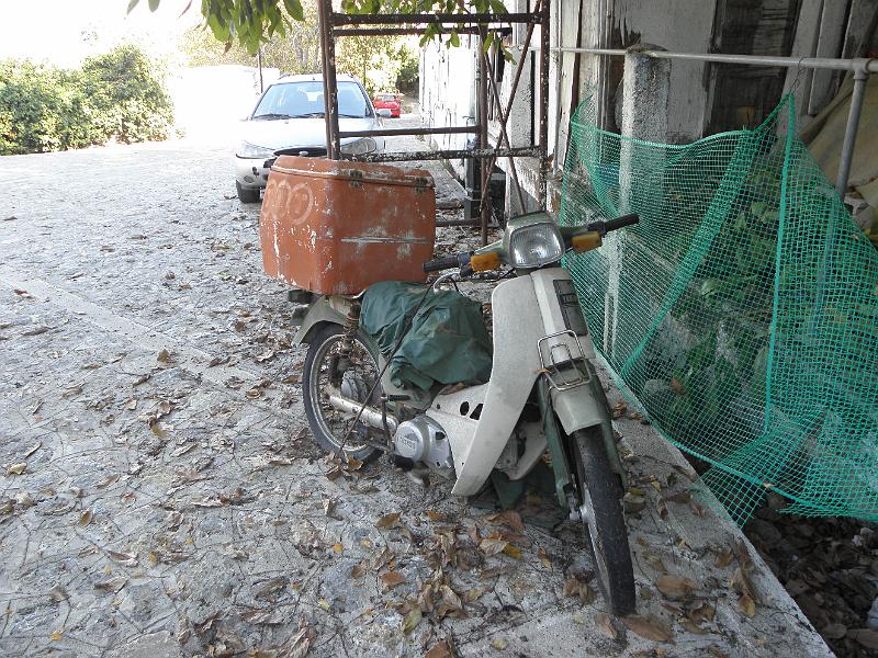 PA240077.JPG