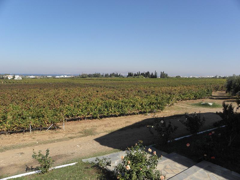 PA240094.JPG