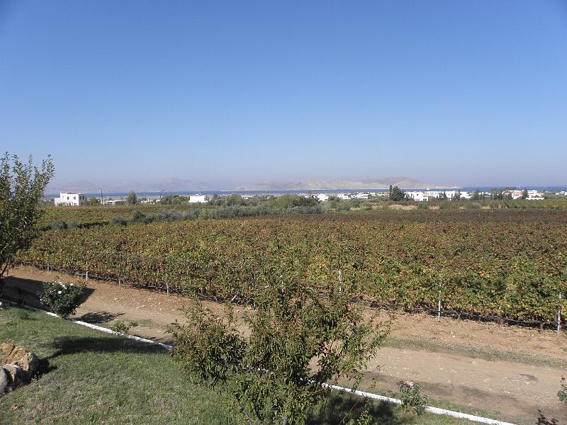 PA240095.JPG