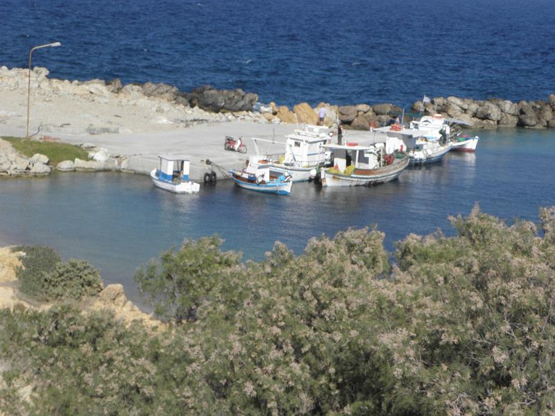 PA240108.JPG
