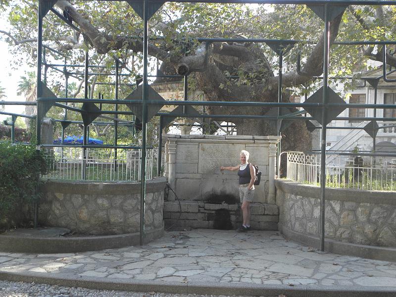 PA250142.JPG