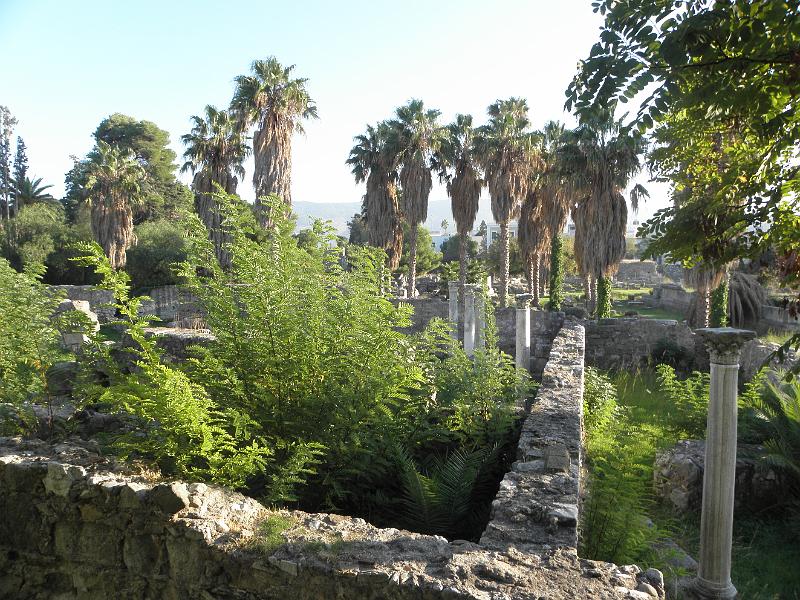 PA250146.JPG