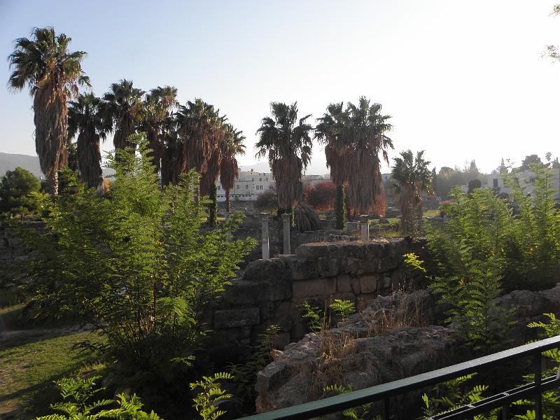 PA250147.JPG