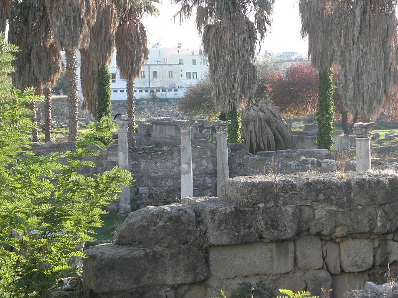 PA250148.JPG