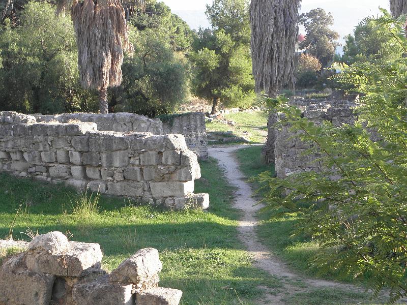 PA250149.JPG