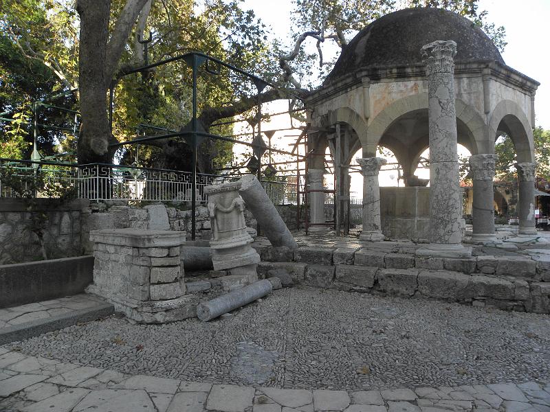 PA250150.JPG