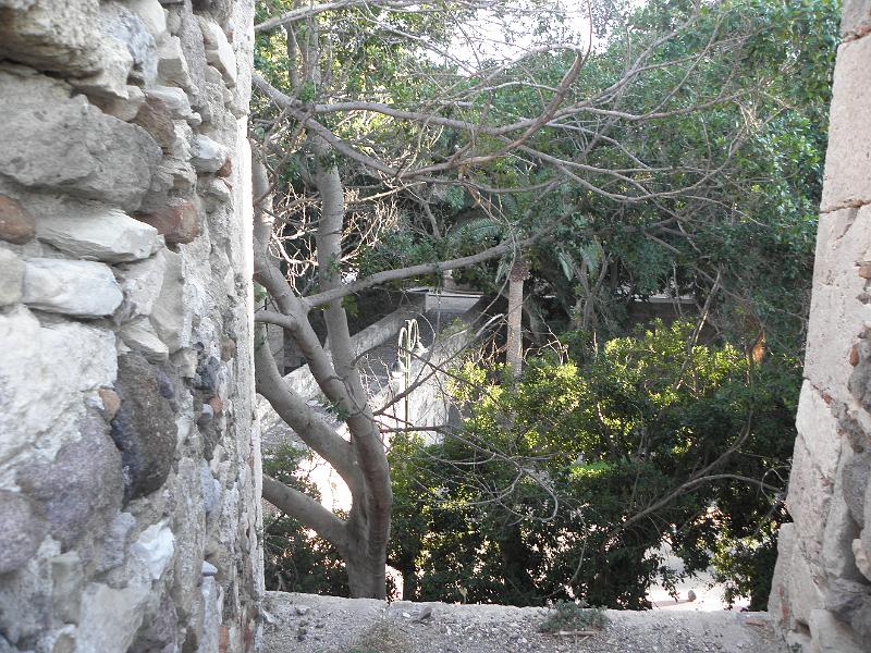 PA250168.JPG