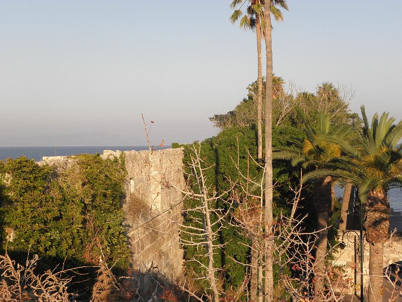 PA250180.JPG