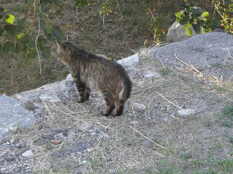 PA250196.JPG