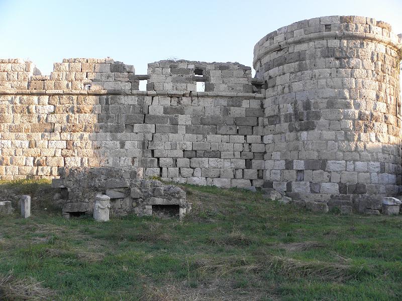 PA250199.JPG