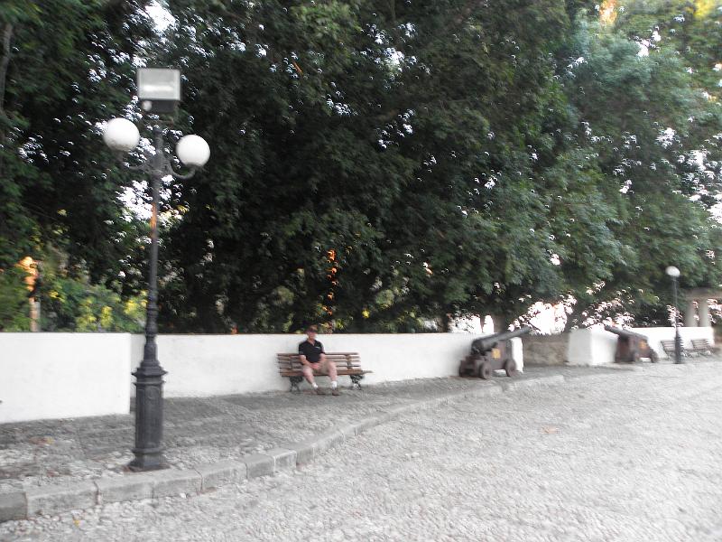 PA250203.JPG
