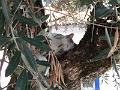 IMG_20161008_110507
