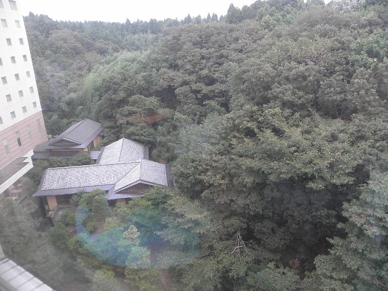 P9220019.JPG