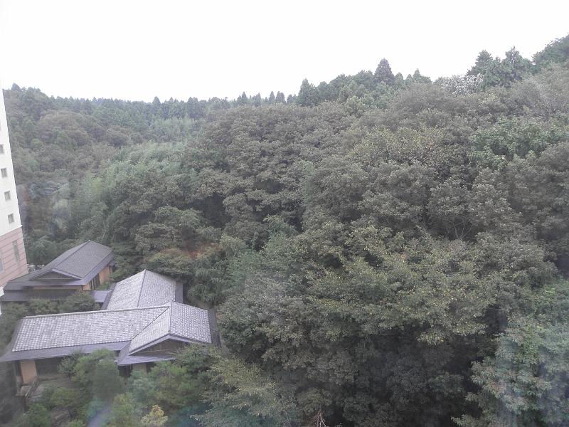 P9220020.JPG