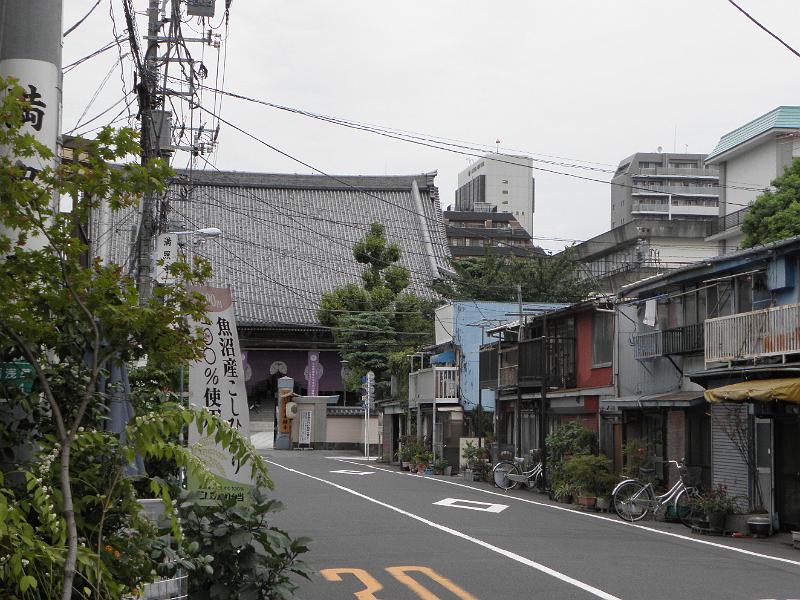P9240061.JPG