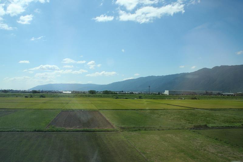 IMG_0490.JPG