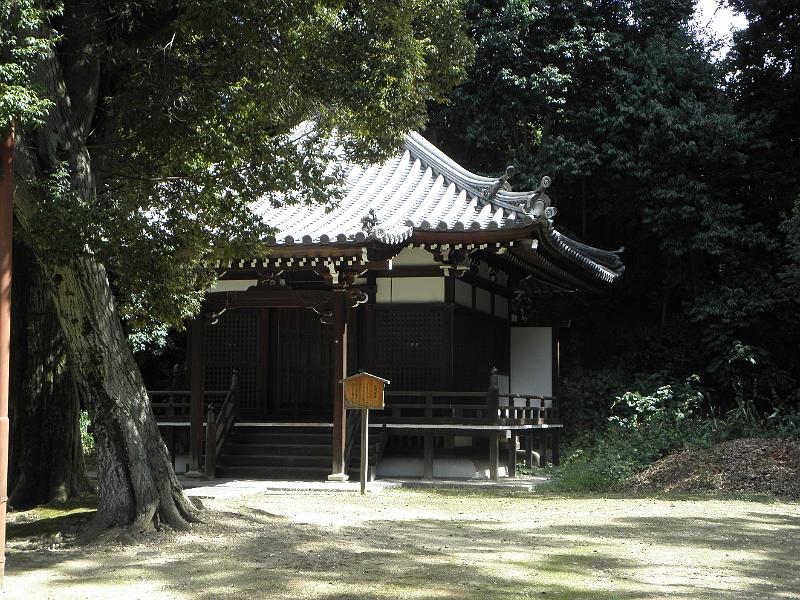 P9250093.JPG