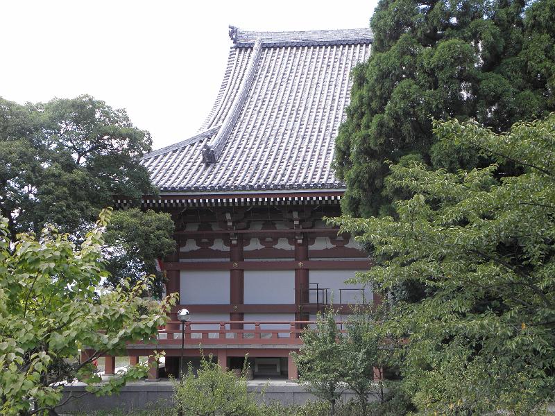 P9250102.JPG