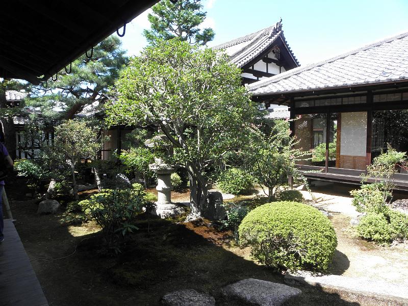 P9250119.JPG