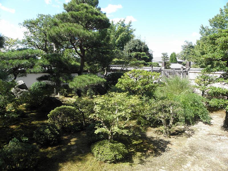 P9250129.JPG