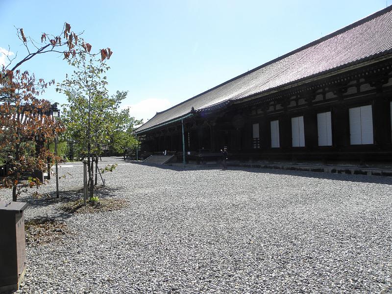 P9250139.JPG