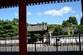 IMG_0532