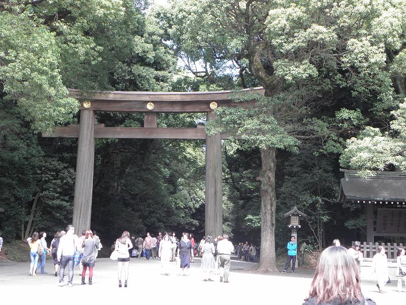P9260198.JPG