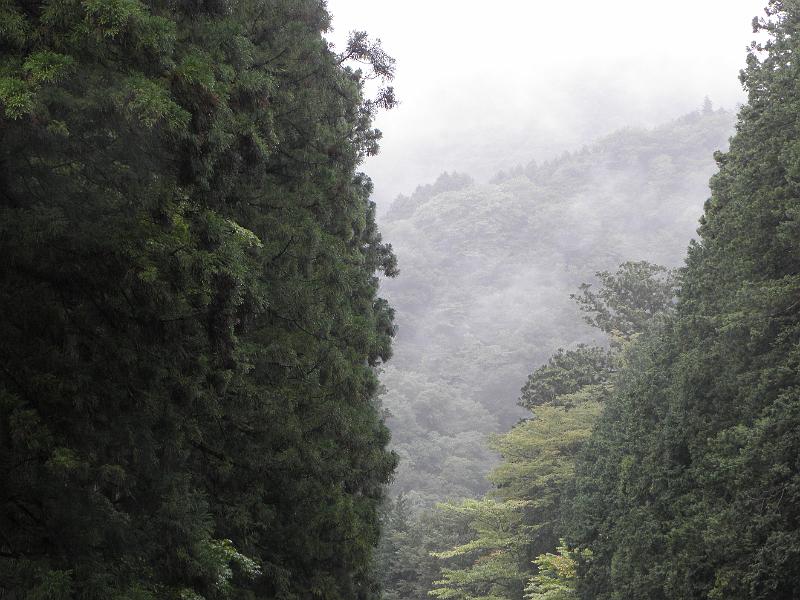 P9270255.JPG