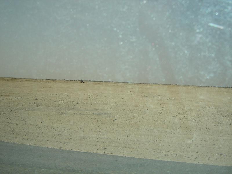 DSC01156.JPG