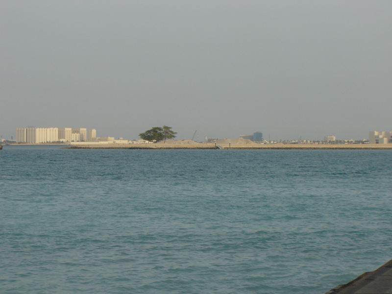 DSC01218.JPG