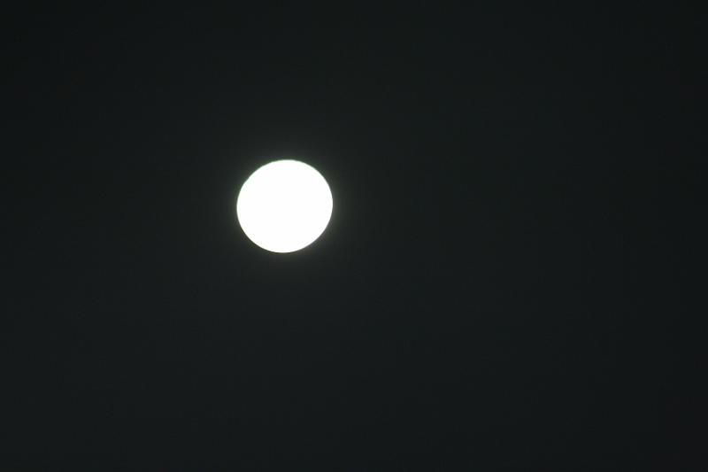IMG_1422.JPG