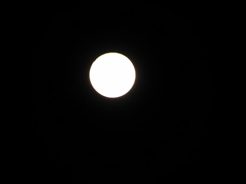 P3200043.JPG