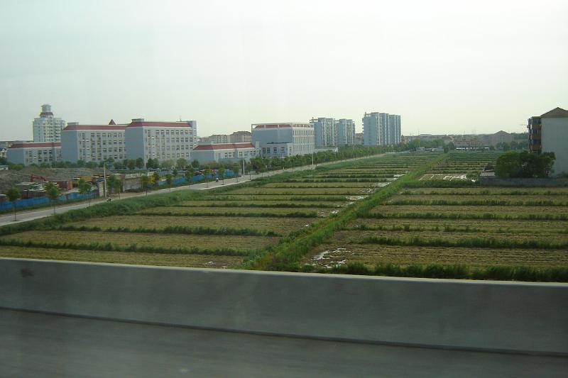DSC03742.JPG