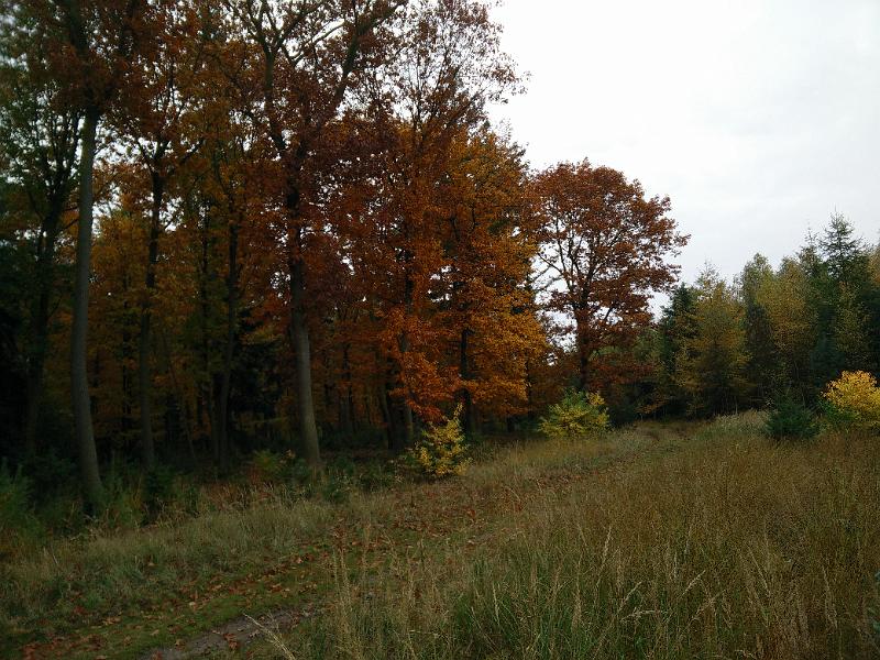 IMG_20151024_125657.jpg