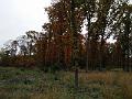 IMG_20151024_125713