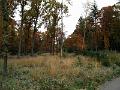 IMG_20151024_125716