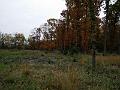IMG_20151024_125719