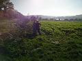 IMG_20151031_131925