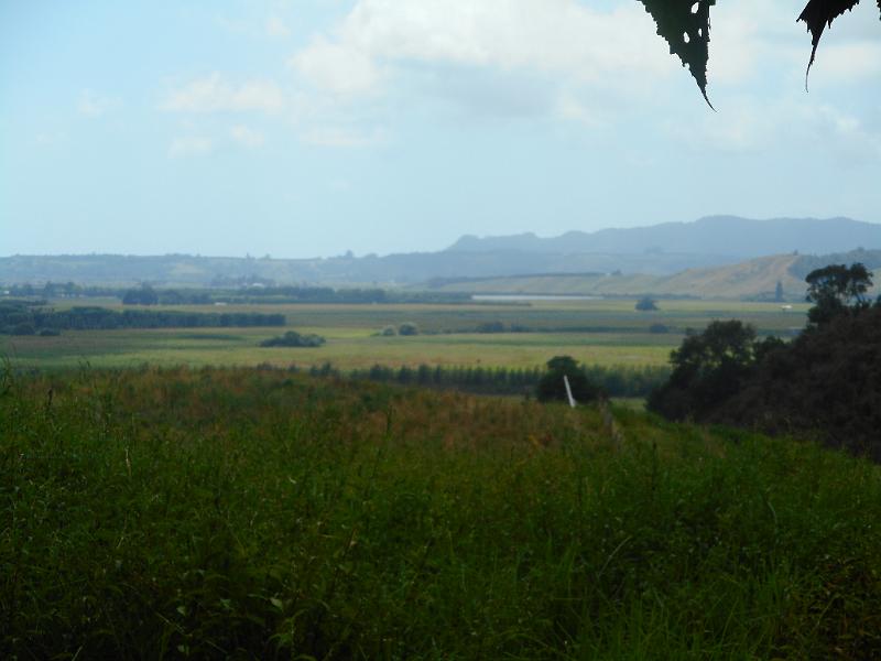DSCN1825.JPG