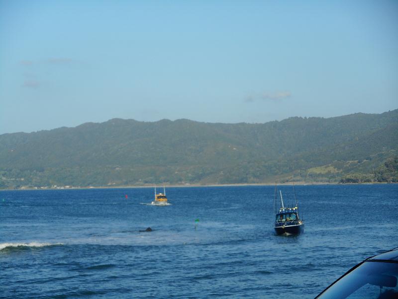 DSCN1859.JPG