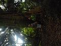 DSCN1829