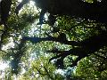 DSCN1847