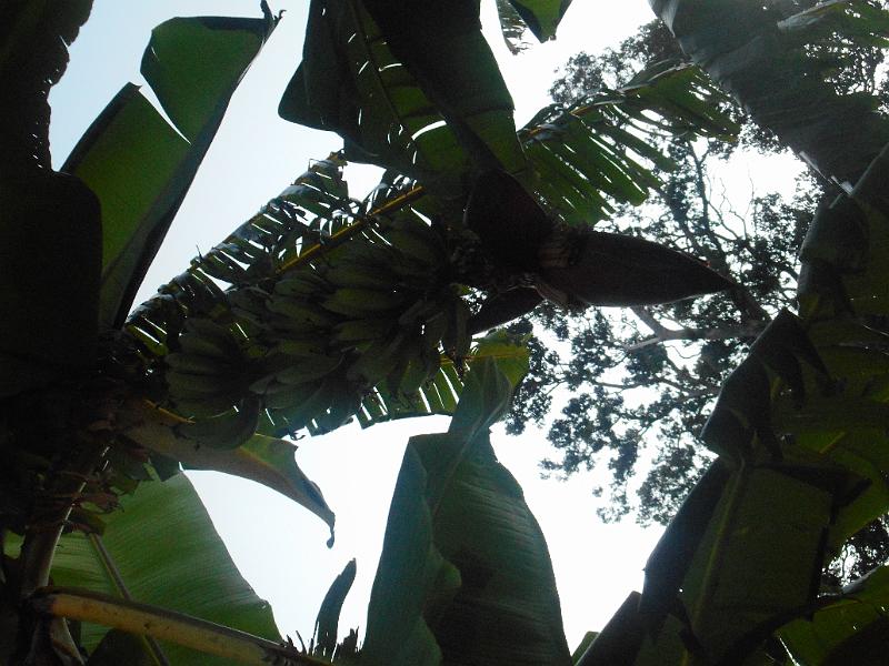 DSCN1909.JPG