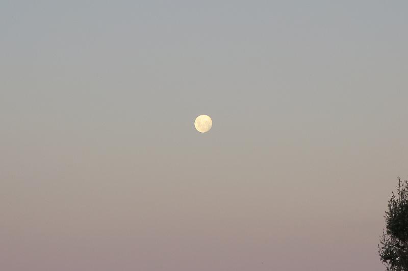 IMG_7634.JPG