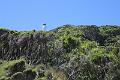 IMG_7658