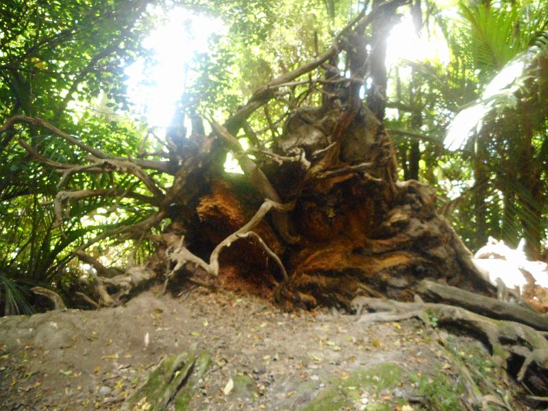 DSCN1947.JPG