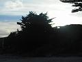 DSCN1985