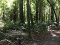IMG_2777