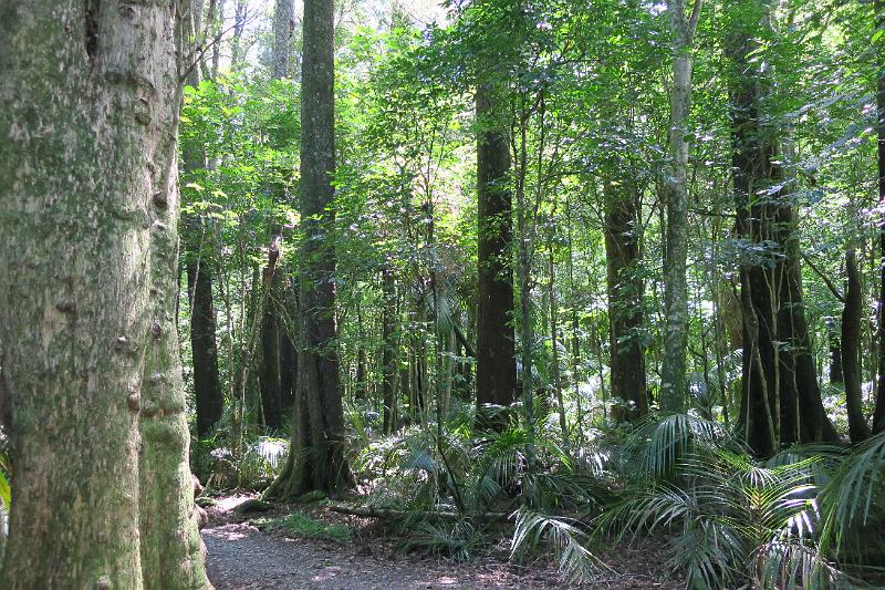 IMG_7727.JPG